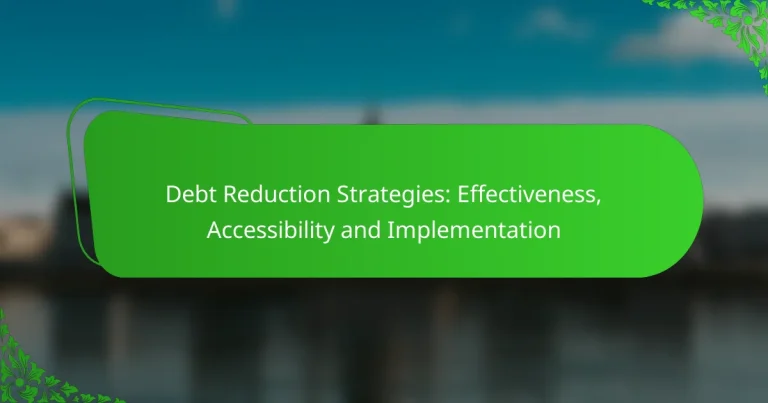 Debt Reduction Strategies: Effectiveness, Accessibility and Implementation