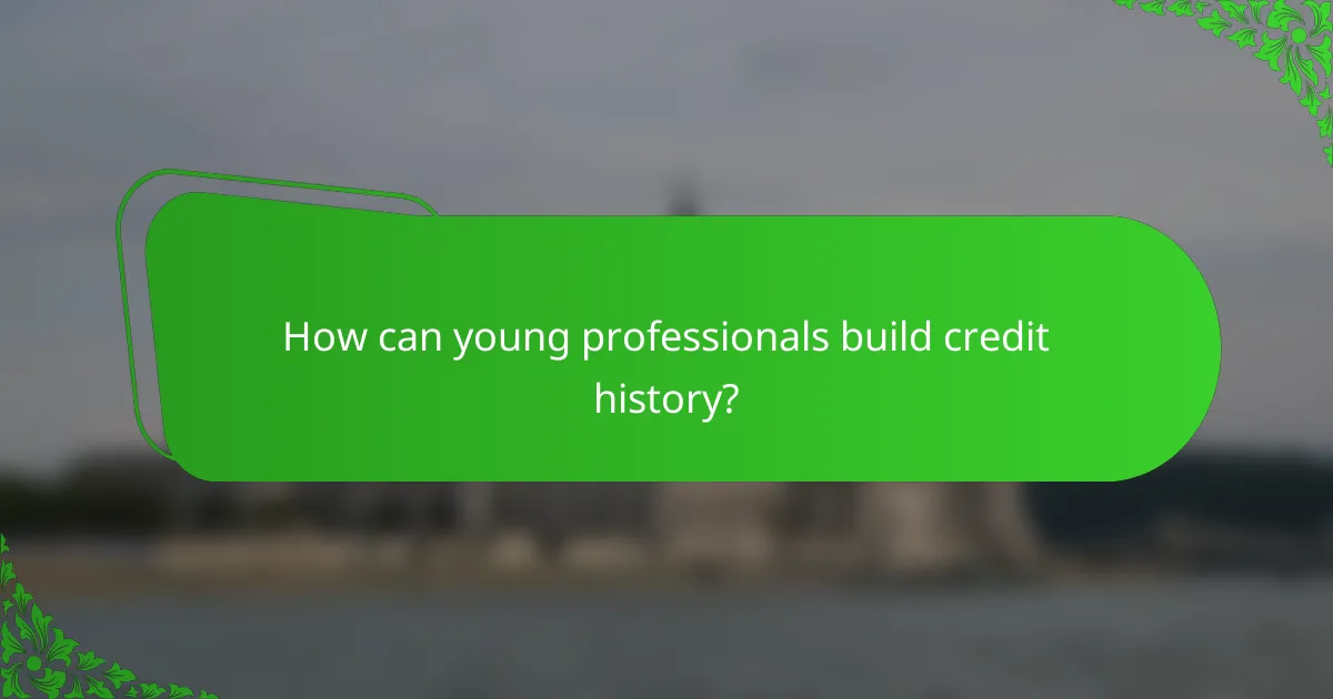 How can young professionals build credit history?