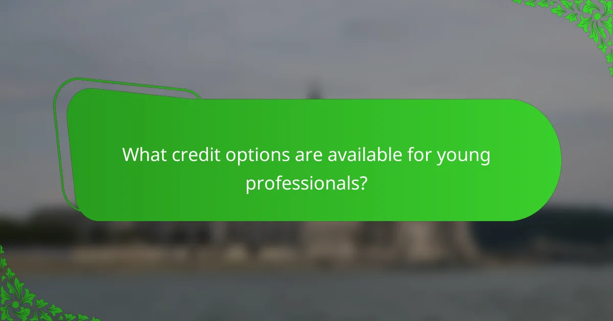 What credit options are available for young professionals?